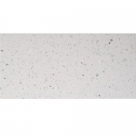 BẬC CẦU THANG TERRAZZO TS1-32M